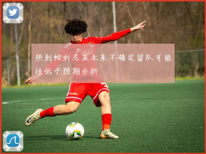 热刺帕利尼亚未来不确定留队可能性低于预期分析