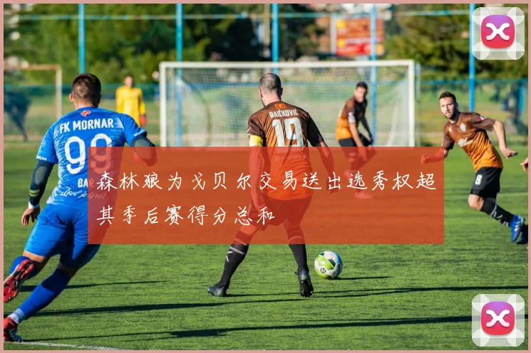 森林狼为戈贝尔交易送出选秀权超其季后赛得分总和
